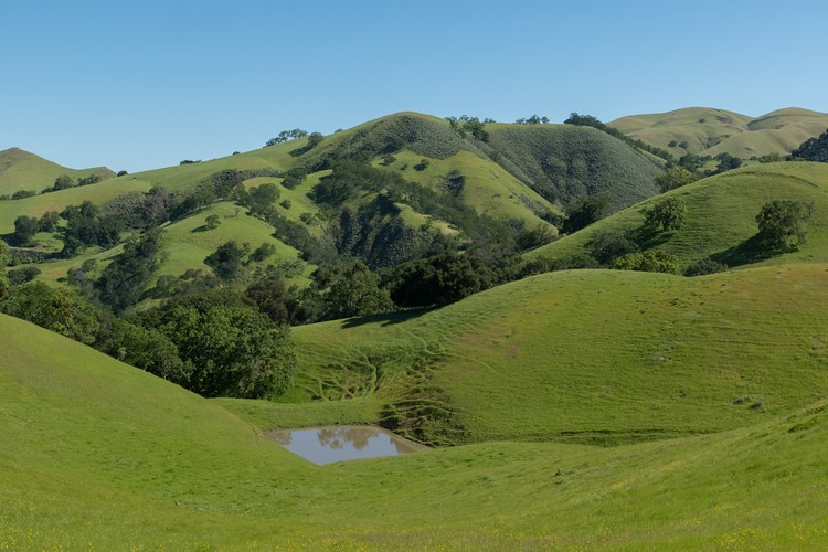 Sunol Regional Park