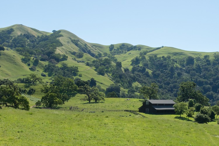 Sunol Regional Park