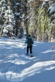 Dewey Point Ridge Trail