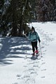 Dewey Point Ridge Trail