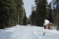 Summit Meadow Outhouse