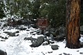 Yosemite Falls Trail