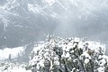 Snowy View of Yosemite Valley