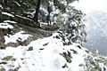 Yosemite Falls Trail