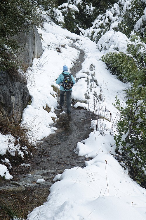 Yosemite Falls Trail
