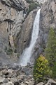 Lower Yosemite Falls