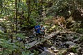 Hikers on Skyline-to-the-Sea Trail