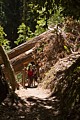 Hikers on Berry Creek Falls Trail