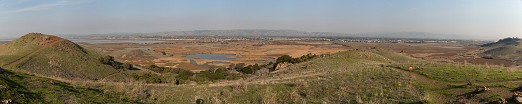 Alameda Creek Marsh