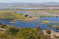 Coyote Hills