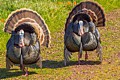 Coyote Hills Regional Park - February~March, 2017