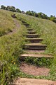 Muskrat Trail