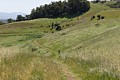 Coyote Hills Regional Park - April 21, 2017