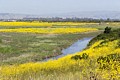 Coyote Hills Regional Park - May 9, 2017