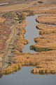 Freshwater marsh