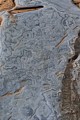 Point Lobos rocks