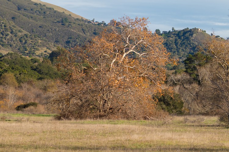 Garland Ranch Regional Park