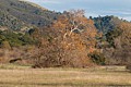 Garland Ranch Regional Park