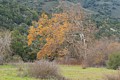 Garland Ranch Regional Park