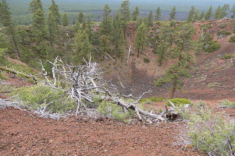 Lava Butte