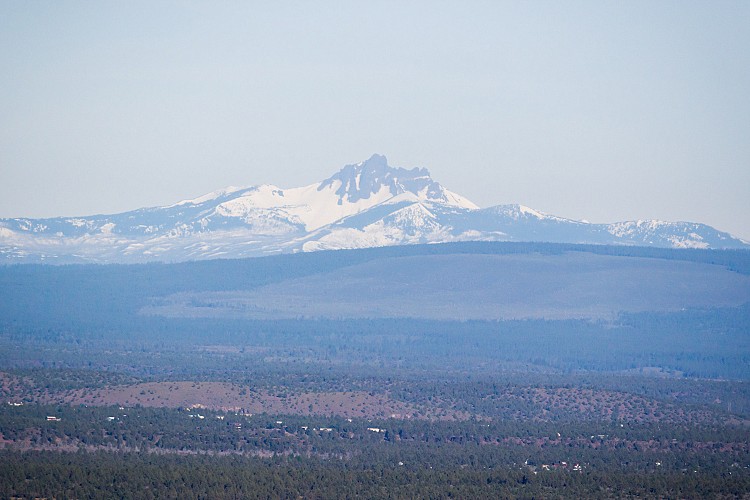 Three Fingered Jack