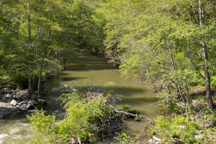 Alameda Creek