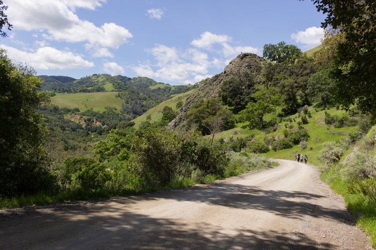 Ohlone Road