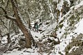 Upper Yosemite Falls Trail