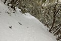 Upper Yosemite Falls Trail