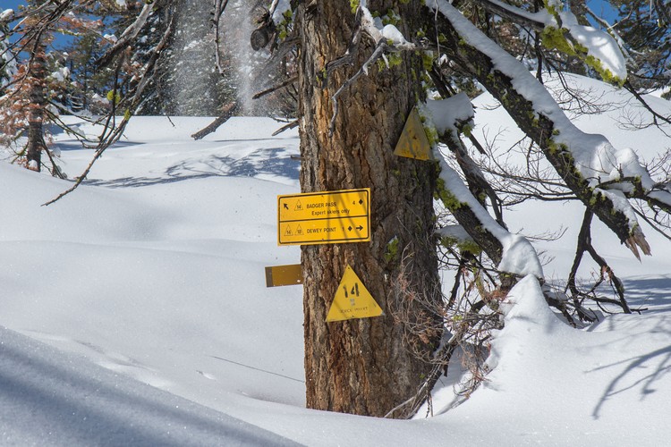 Dewey Point Trail junction