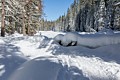 Dewey Point Trail