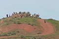 Coyote Hills Regional Park - February 10, 2018