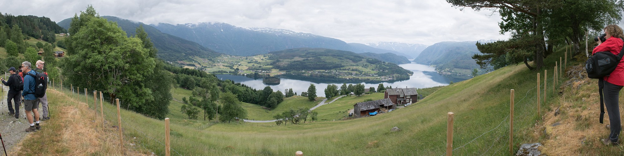Panorana of Ulvikapollen