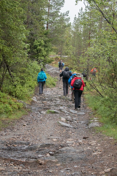Hikers on the Granvin-Ulvik postal road