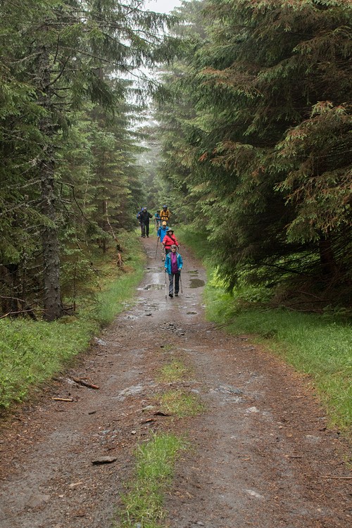Hikers on the Granvin-Ulvik postal road