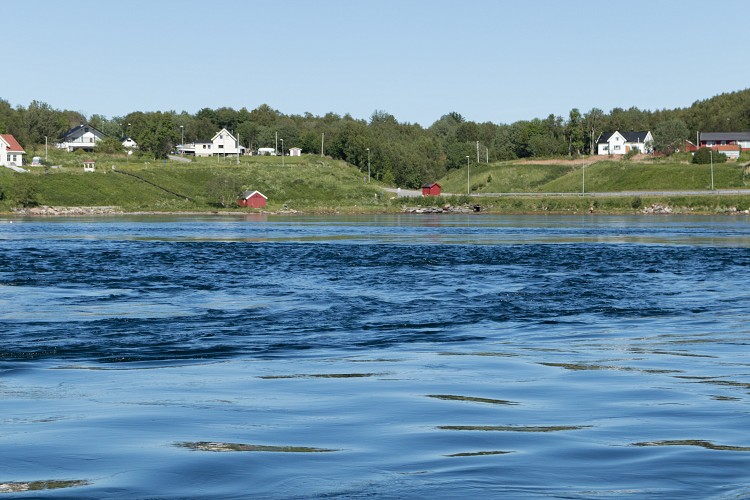 Tidal current in Saltstraumen