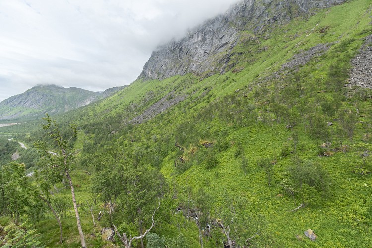 View from Bergbotn Overlook