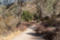 Old Pinnacles Trail