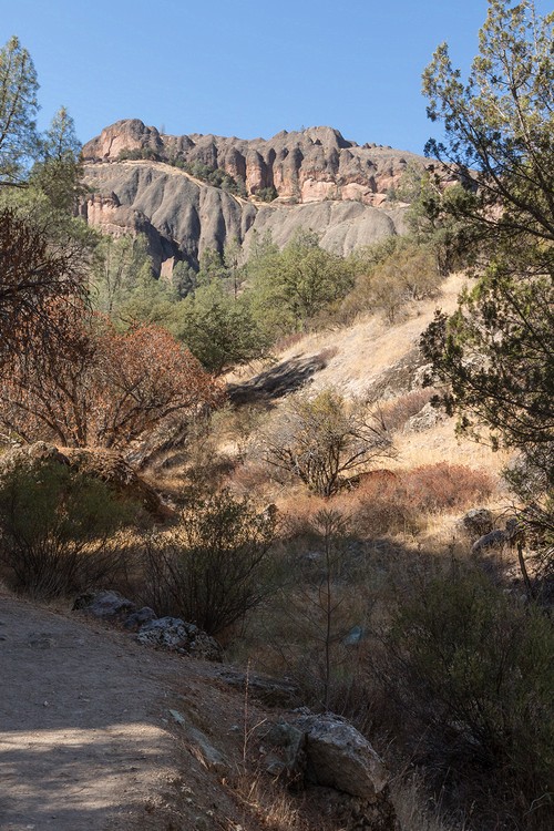 Old Pinnacles Trail