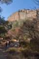 Old Pinnacles Trail and The Balconies