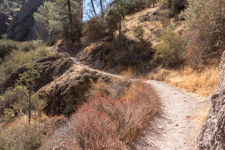 Old Pinnacles Trail