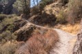 Old Pinnacles Trail