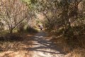 Old Pinnacles Trail