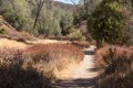 Old Pinnacles Trail