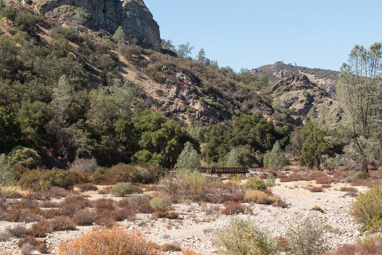 West Fork Chalome Creek