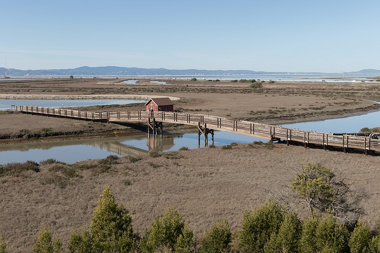 Bridge over Newark Slough