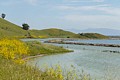 Salt ponds