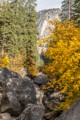 Maples - Vernal Fall Bridge