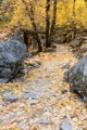 Mirror Lake Trail