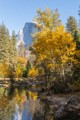 Merced River and Half dome